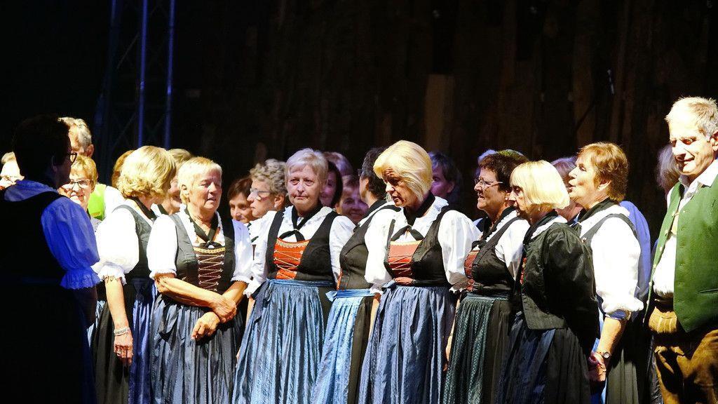Meissnitzer Band beim HeuArt Fest in Abtenau