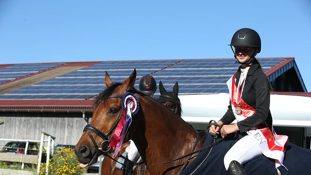 Landesmeisterschaft Springreiten 2022 Elixhausen
