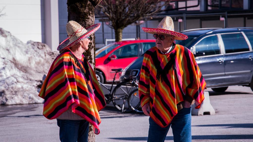 Faschingsumzug Grödig I