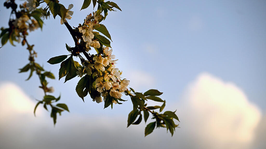 Wetter / Frühling