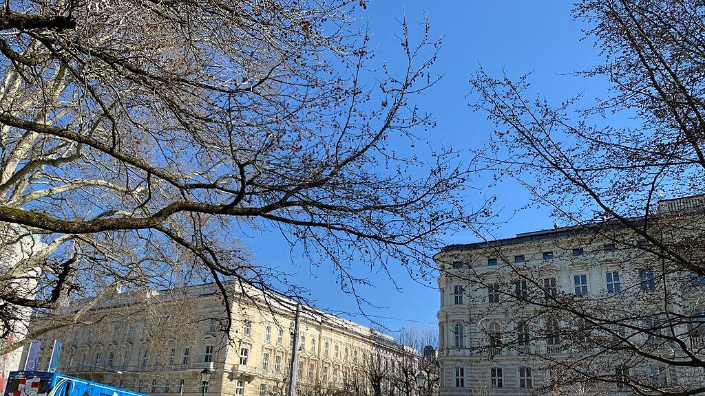 Mirabellgarten