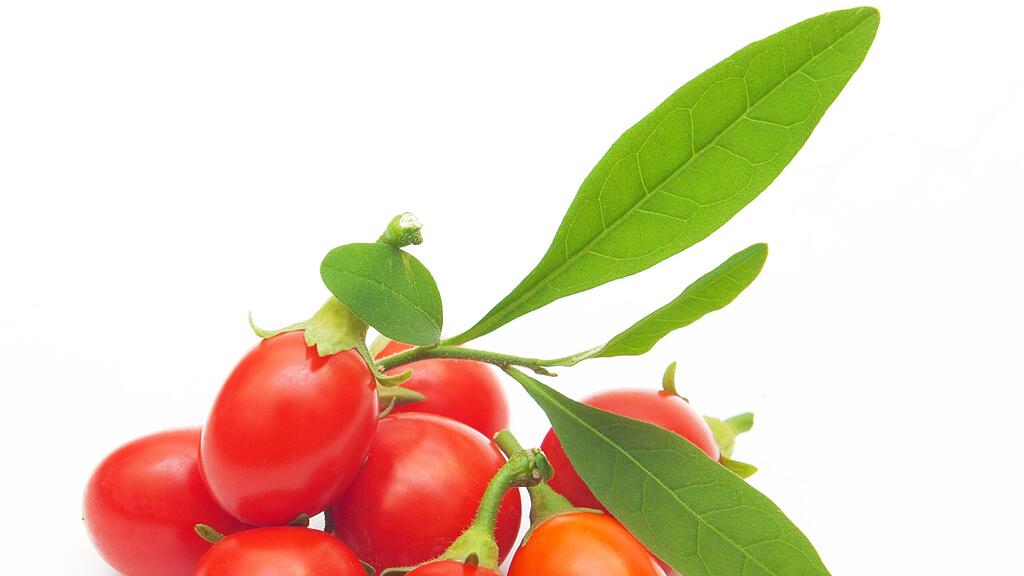 Die Kraft der Goji-Beere.