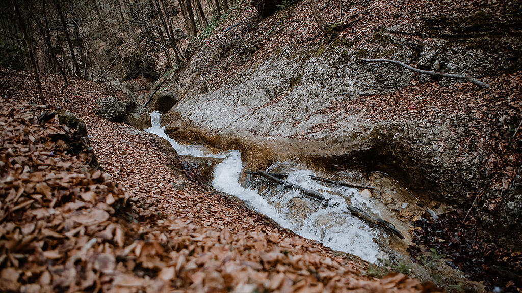 Nachmittagsspaziergang Hexenloch