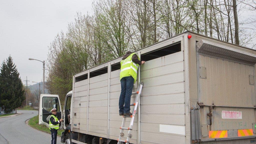 Tiertransporte kontrolliert