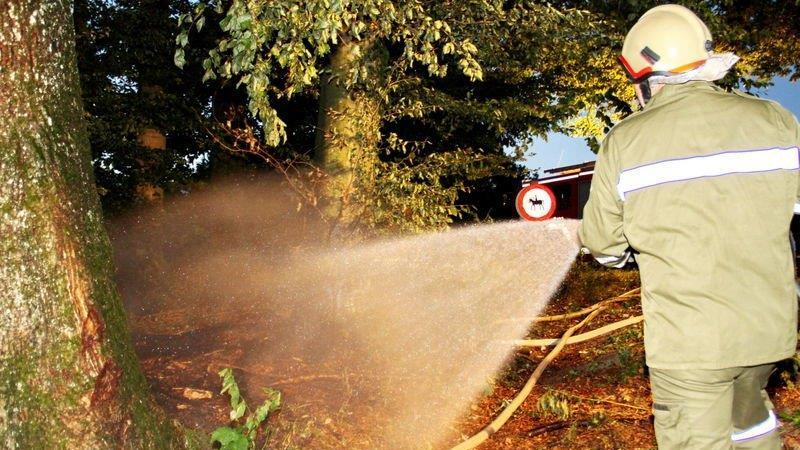 Waldbrand in Hallwang