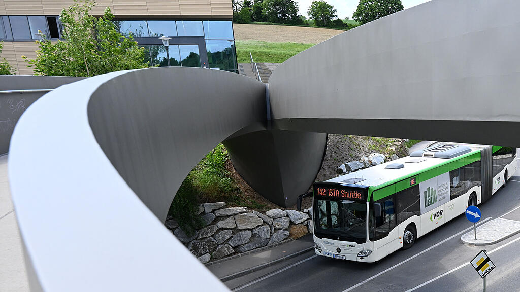 Bus