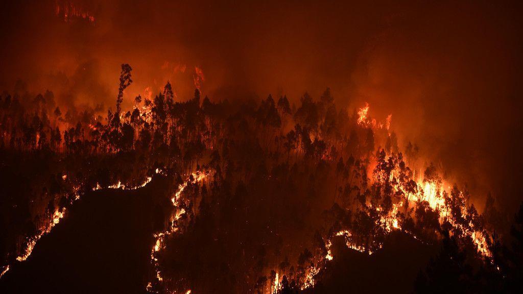 Waldbrand in Portugal