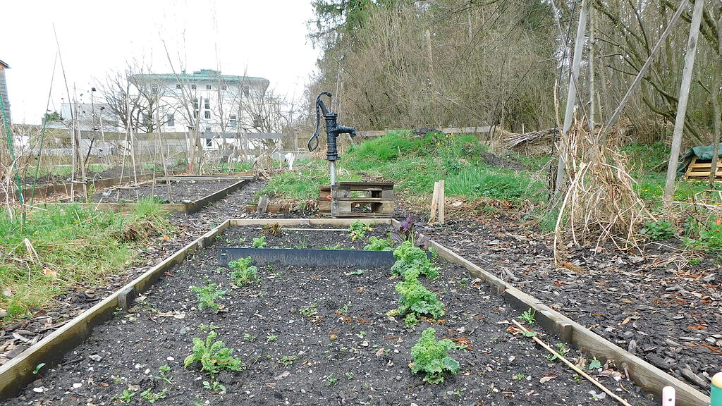 Gartengemeinschaft Paradieschen