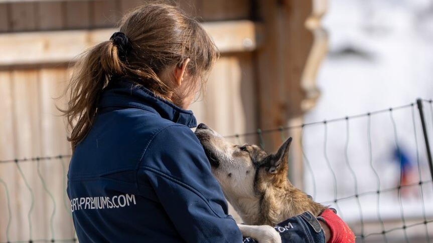 Schlittenhunderennen in Sportgastein