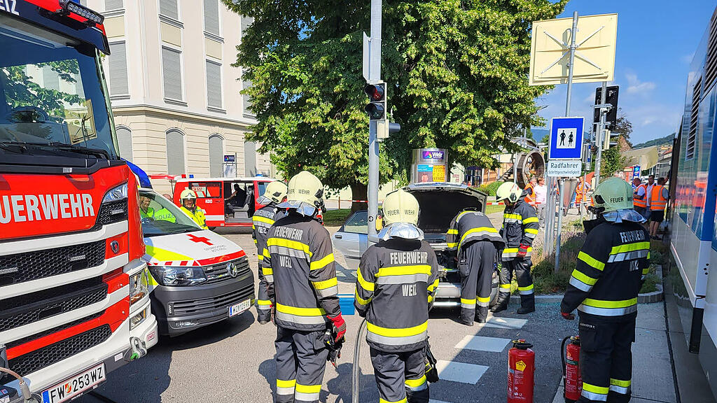 weiz_0.jpg