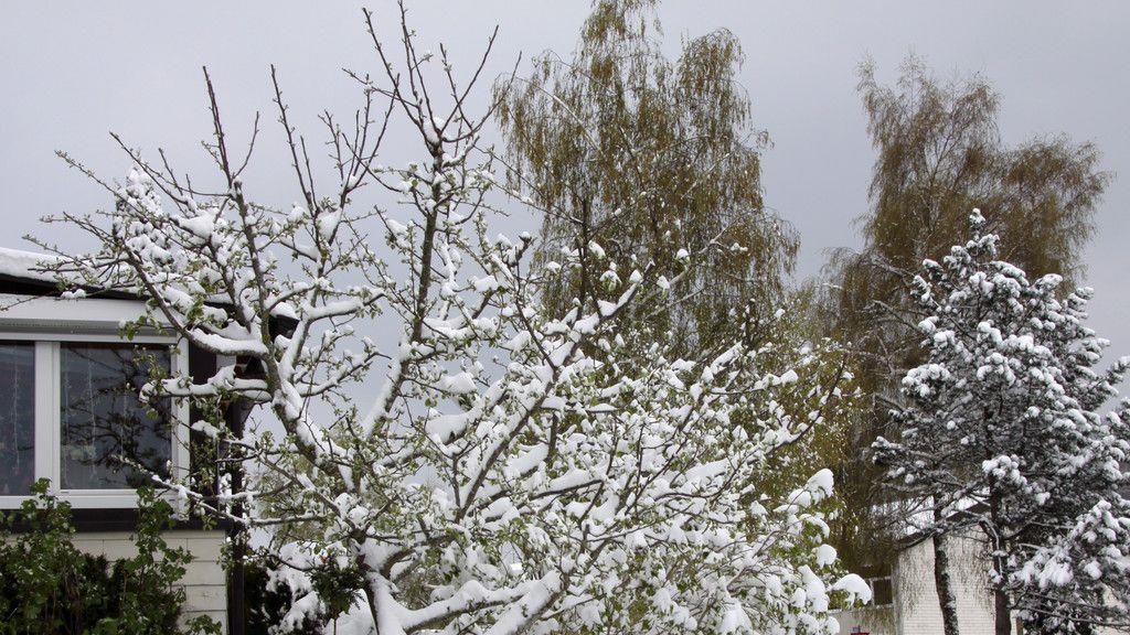 Wintereinbruch im Flachgau