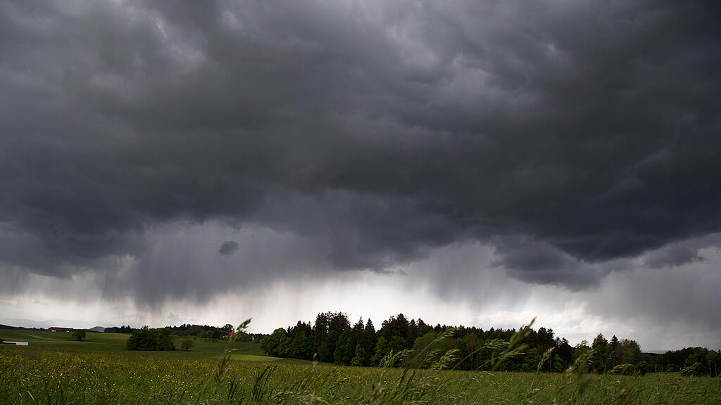 symb_regen