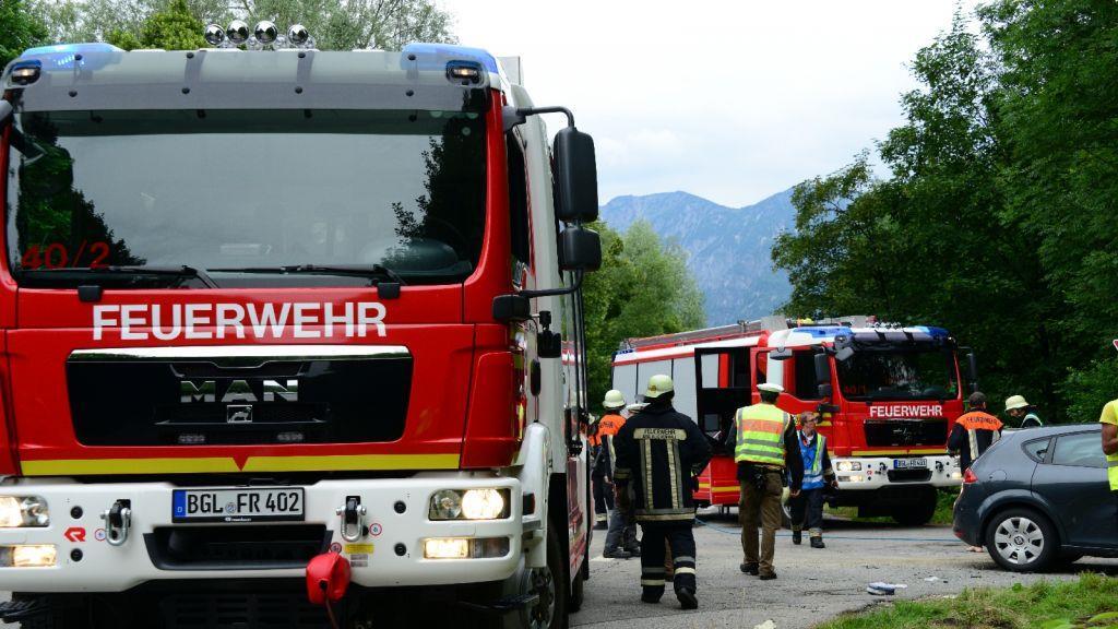 Pinzgauerinnen in Bayern verletzt, I