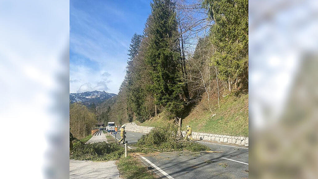 Baum st\u00fcrzt in Unken auf Auto