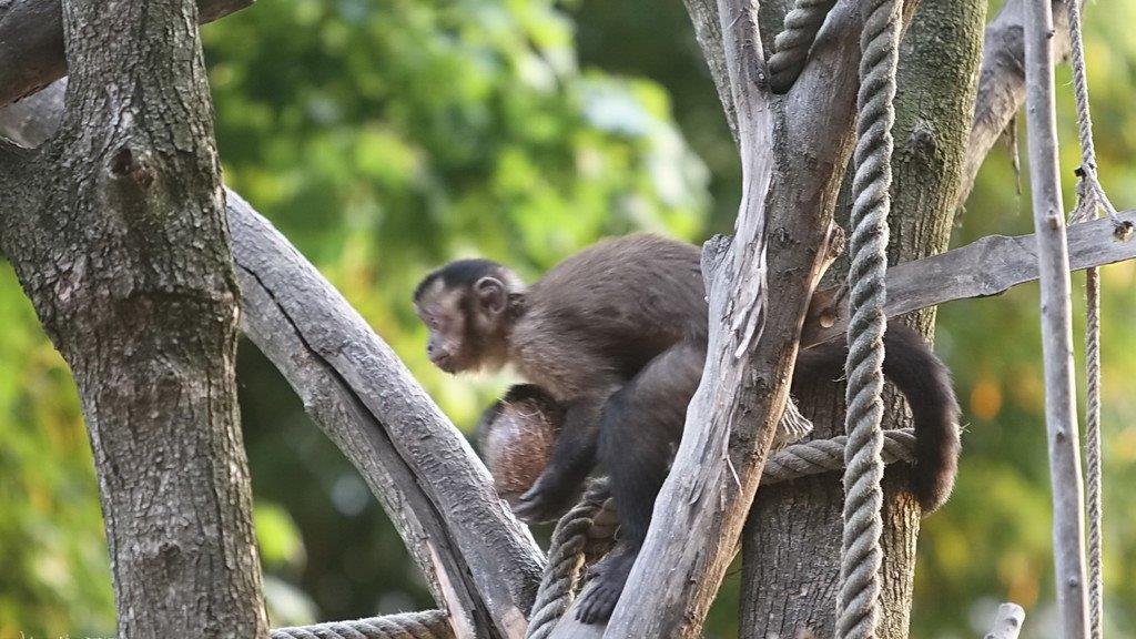Bilder vom Nachtzoo