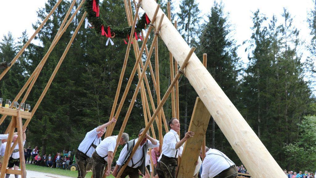 Maibaumaufstellen im Freileichtmuseum