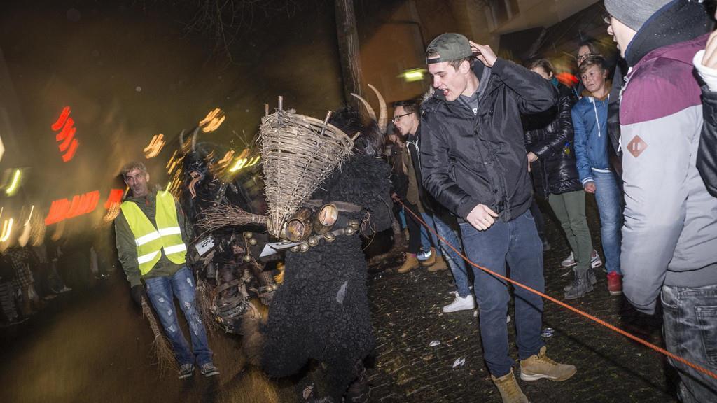 Krampuslauf Freilassing II