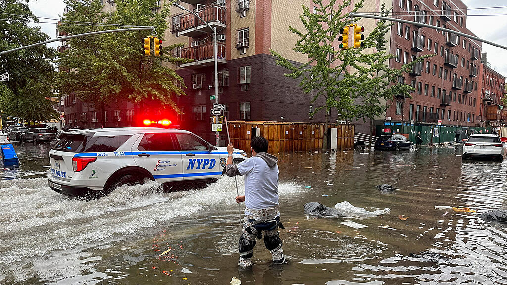 Regen New York