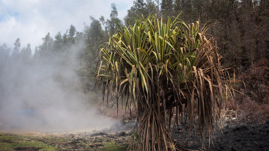 Kilauea spuckt weiter