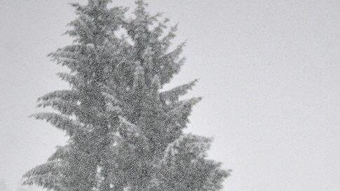Winter in Salzburg, III
