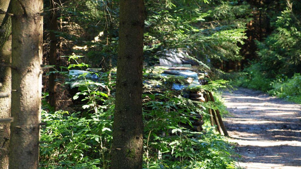 Tödlicher Forstunfall in Pöndorf
