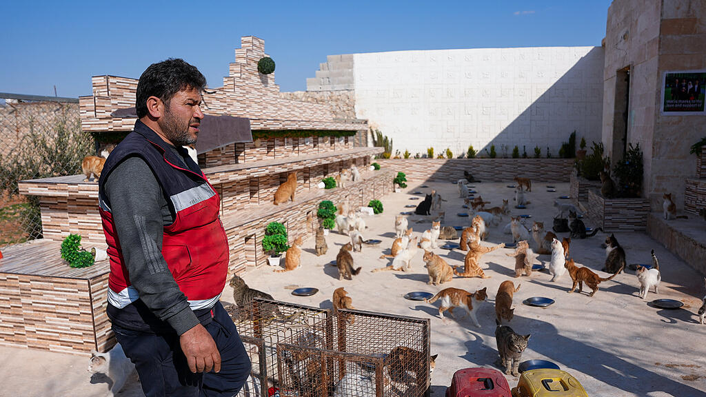 Erdbeben_Syrien
