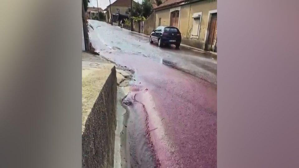 wein.jpg