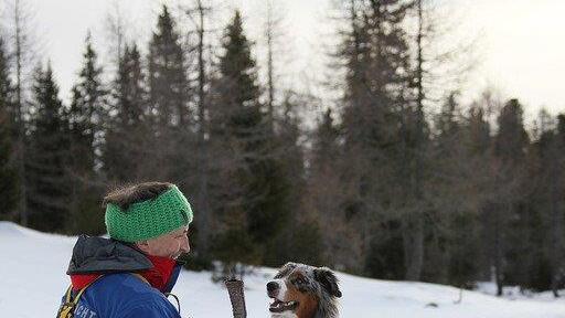 Superhunde im Einsatz