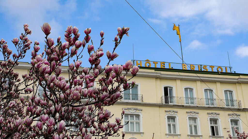 Magnolienbäume am Makartplatz