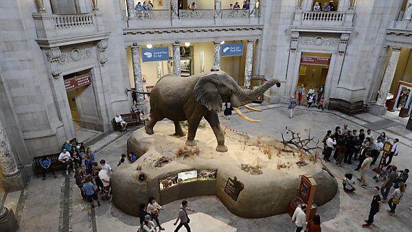 Museen öffneten wieder ihre Pforten