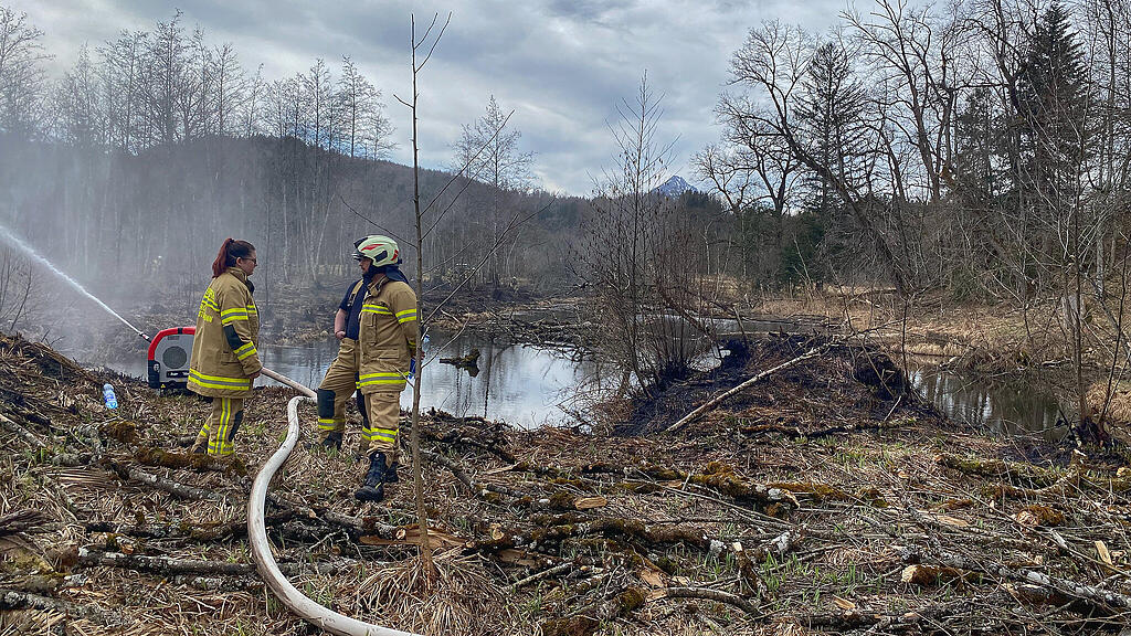 Schilfbrand Grödig