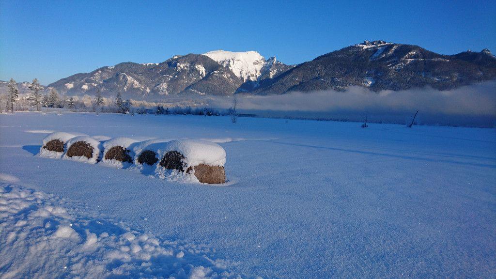 Eure schönsten Winterbilder II