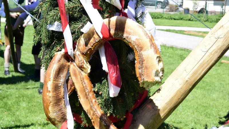 Maibaumaufstellen in Grödig