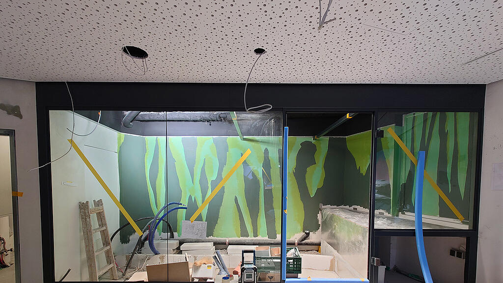 Haus der Natur: Umbau f\u00fcr Amphibien- und Reptilienzoo