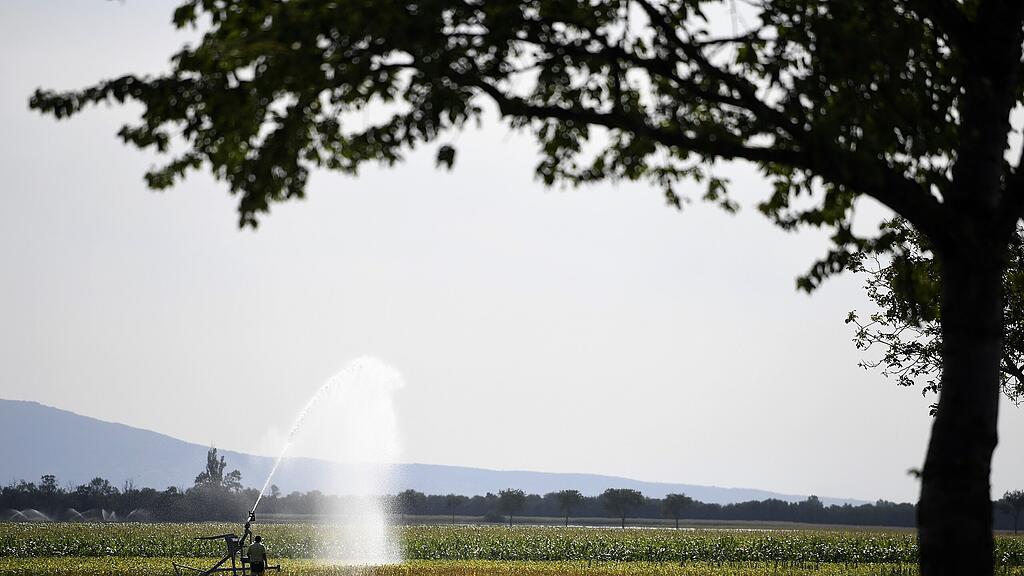 Die 30-Grad-Marke gelangt wieder in Reichweite.