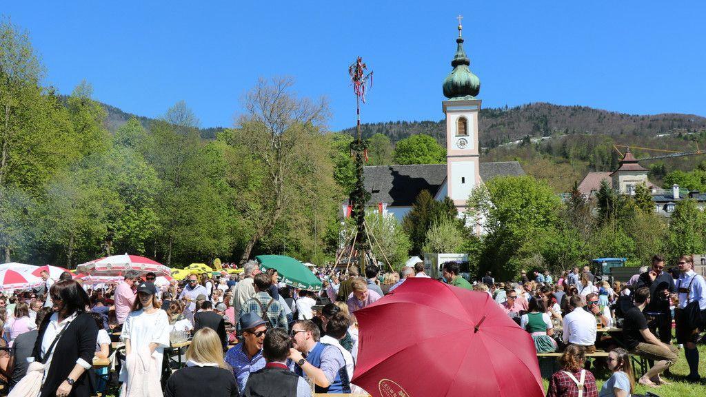 Maibaumaufstellen in Aigen