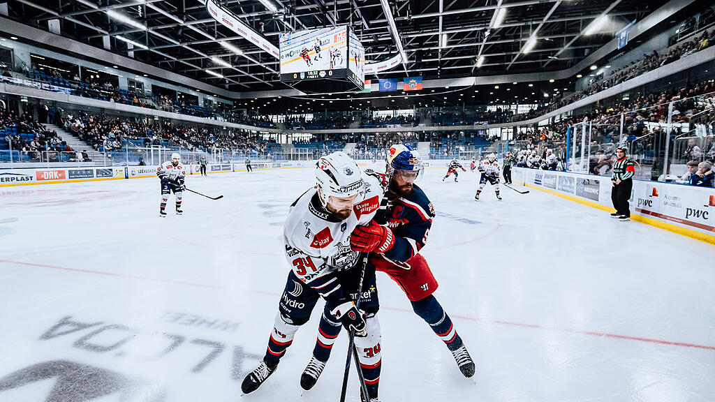 Fehervar vs. Red Bull Salzburg