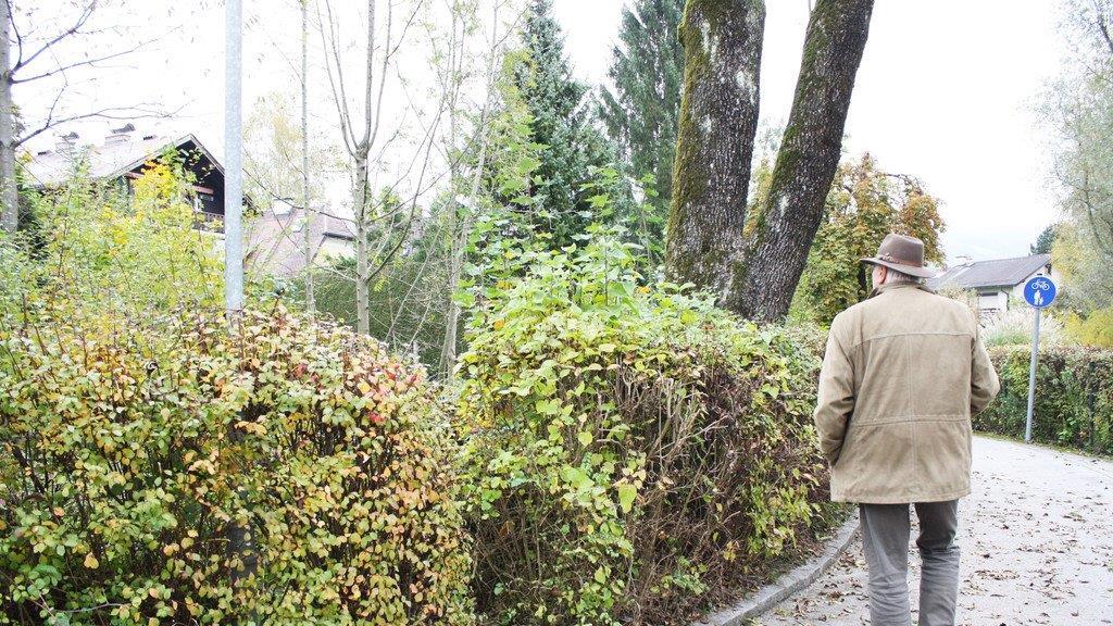 Hier soll gebaut werden