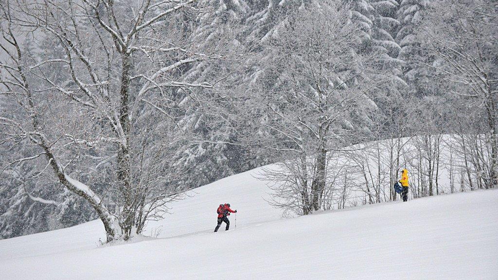 Winter im Flachgau: Gaisberg und Vorderfager