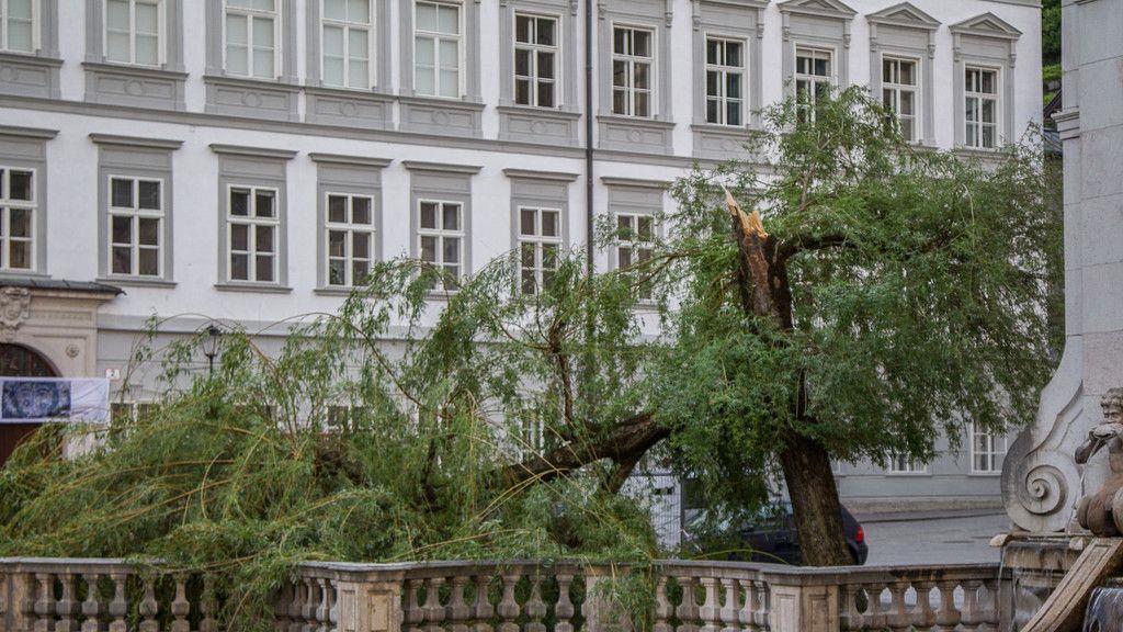 Sturm knickt Baum bei Kapitelschwemme