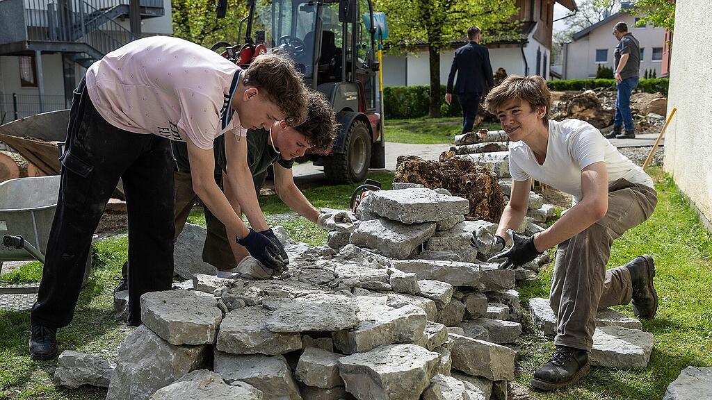 Artenvielfalt-Projekt Grödig