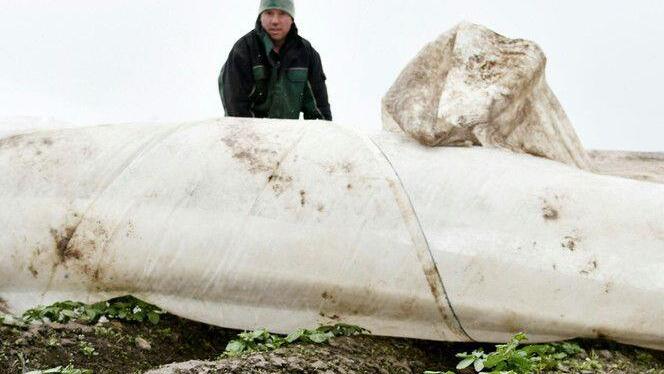 Kampf gegen Frost in Wals