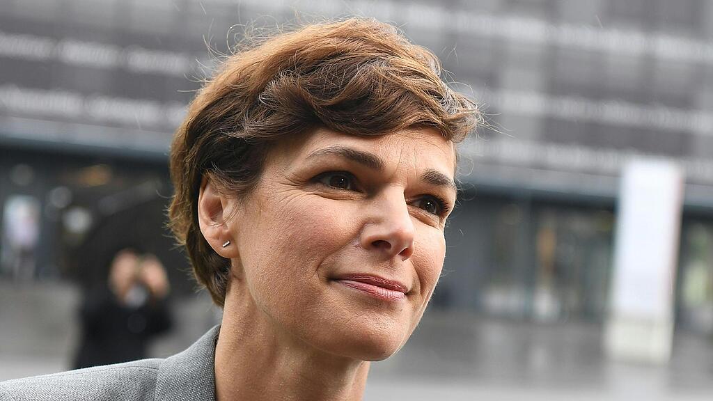 Pamela Rendi-Wagner ist erst seit eineinhalb Jahren Parteimitglied.