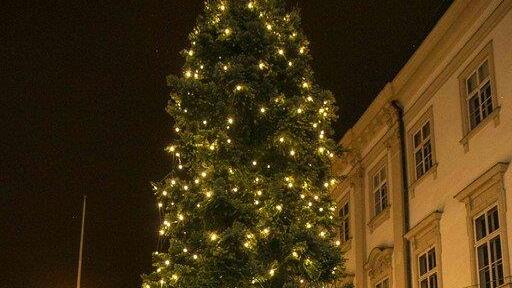 Christbaum vor Schloss Mirabell