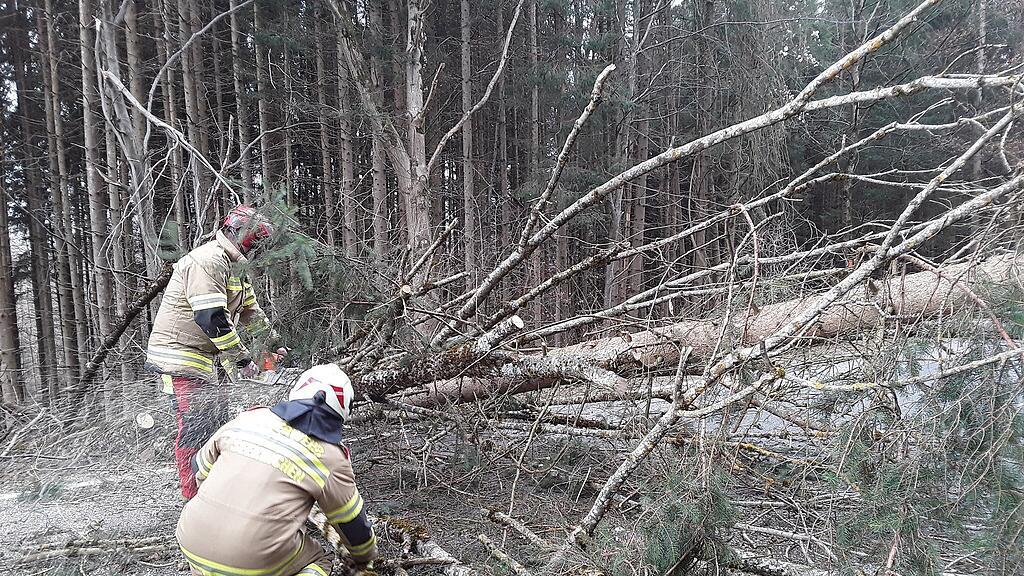 Sturm Seekirchen