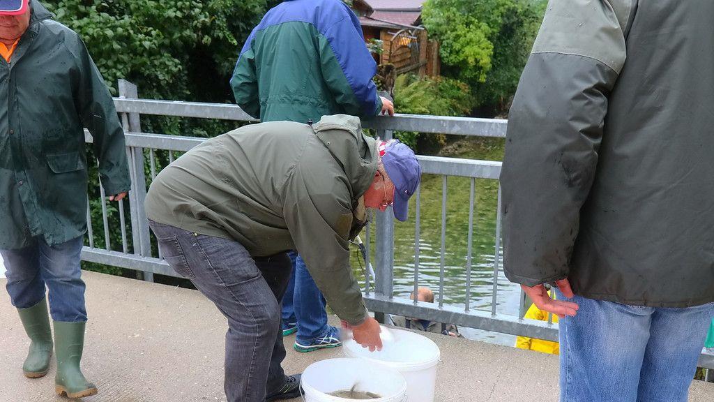 Almkanal Reinigung
