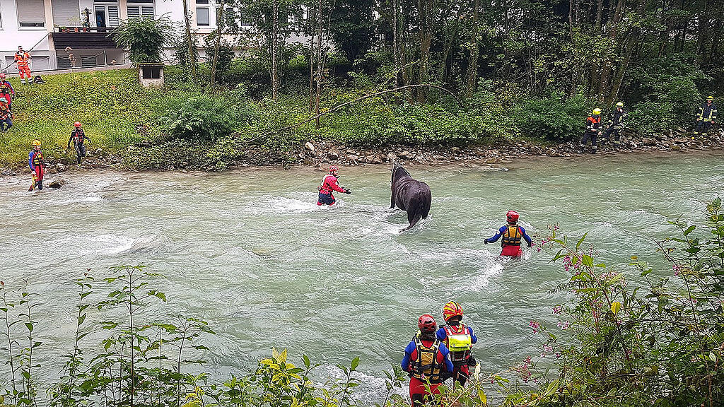 Kutschenunfall Königssee Ache