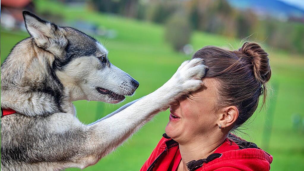 Gut Aiderbichl Tierpflegerin mit Hund_2.jpg