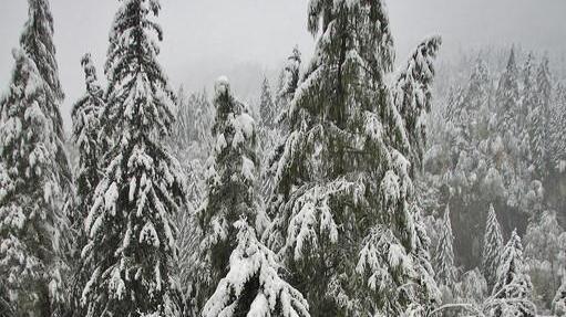 Schnee in Bad Gastein, I