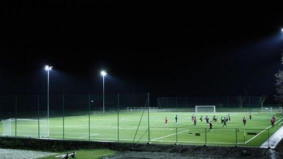 Alle RLW-Stadien